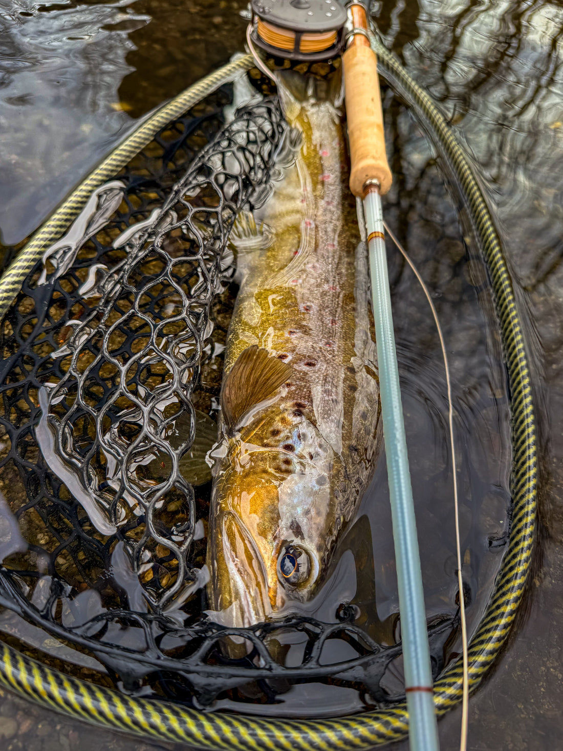 Warum eine handgebaute Fliegenrute mehr Spaß macht :-)