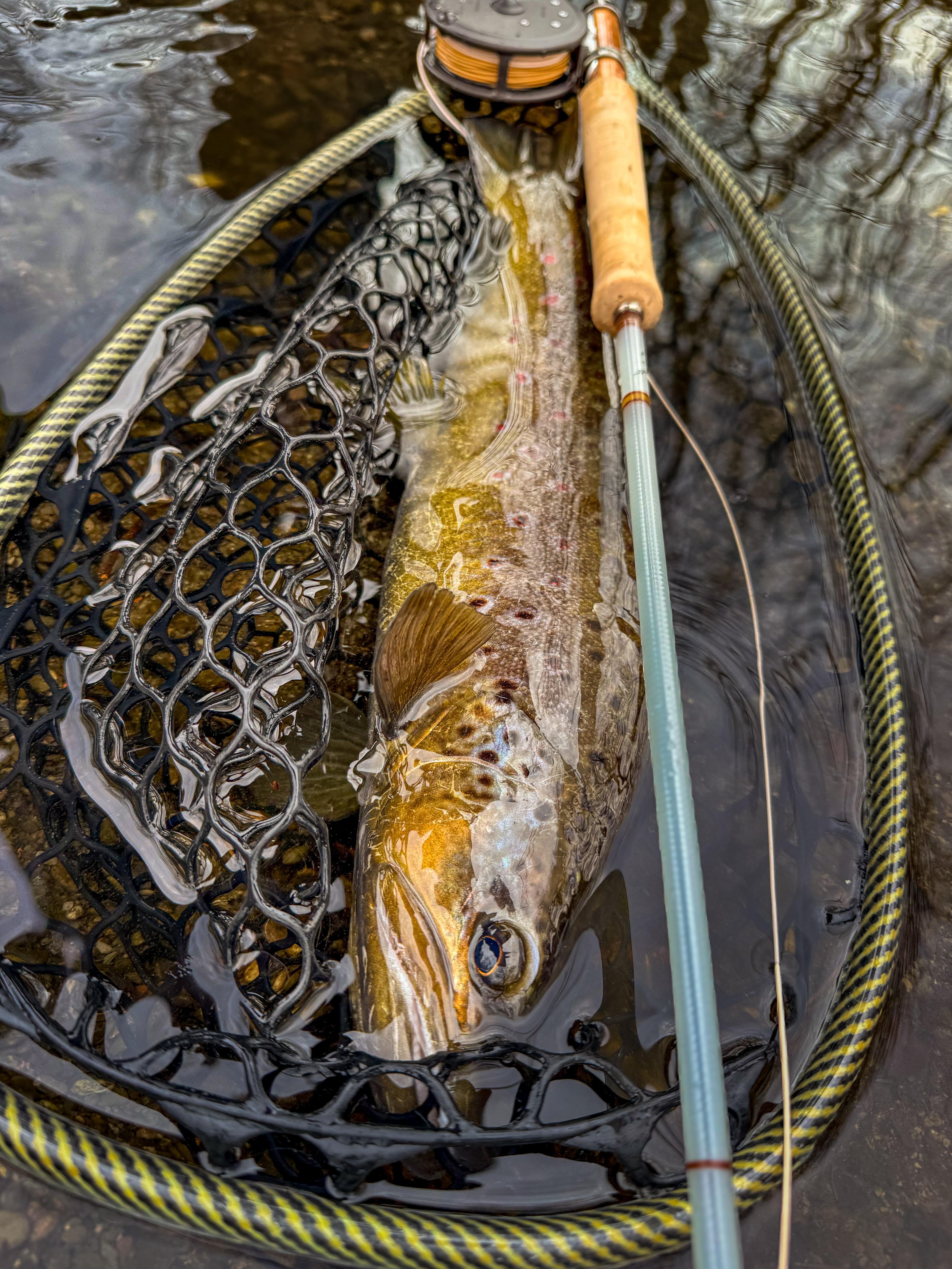 Why a hand-built fly rod is more fun :-)