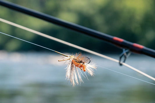 Taktiken: Hopper Dropper und Dry Dropper - Zwei Fliegen, doppelte Chance