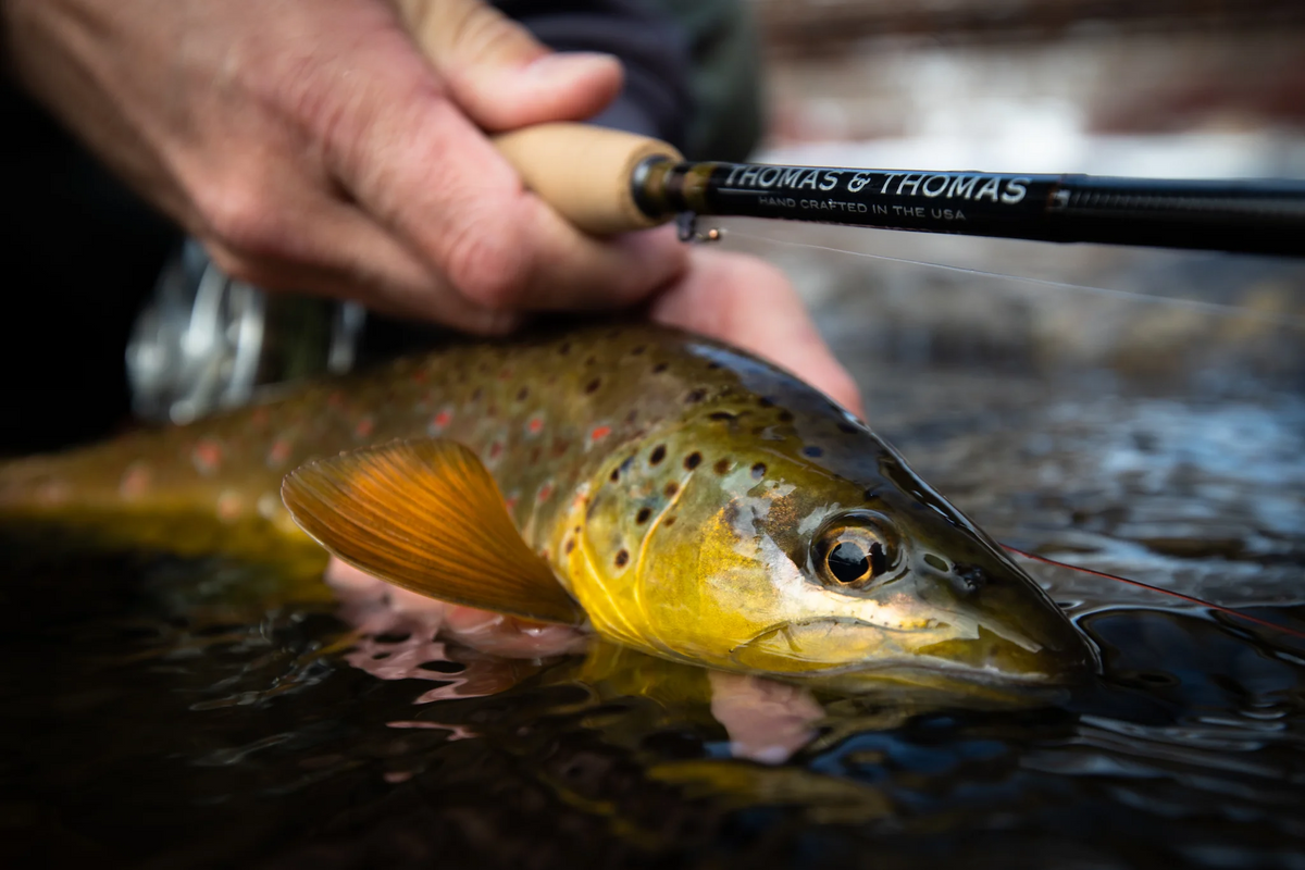 Nymphing Blanks