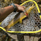 Rising - Brookie Kescher Landing net 25 CLEAR