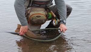 Fishpond - Nomad Emerger NET Kescher Original