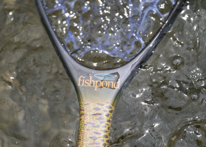 Fishpond NOMAD CANYON Net Kescher
