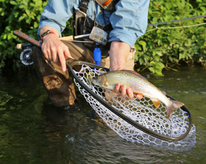 Fishpond - Nomad Emerger NET Kescher Brown Trout