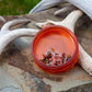 Fishpond Shallow Fly Puck Boîte à mouches pour la pêche à la mouche - EMBER
