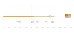 Truite du ruisseau Amplitude de Scientific Anglers